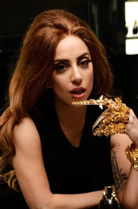 Lady Gaga — Dark Autumn