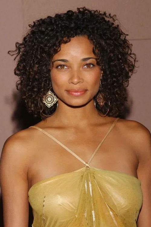 Rochelle Aytes — True Autumn