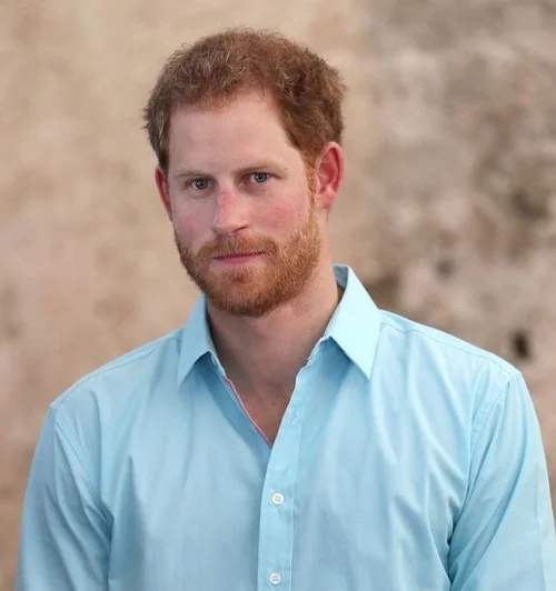 Prince Harry — Light Spring